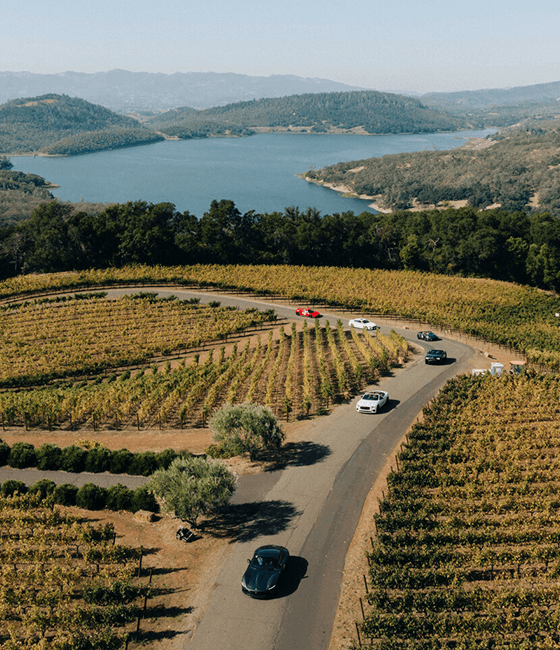 A fleet of supercars driving along a scenic road in wine country.