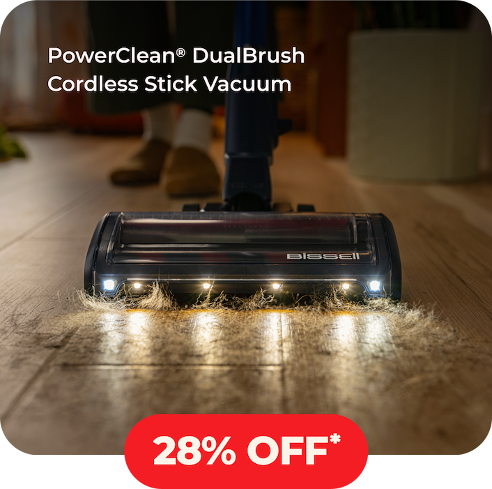 PowerClean Dualbrush