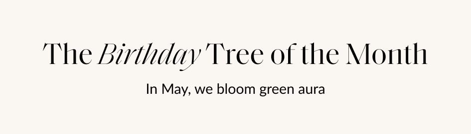 The Birthday Tree of the Month In May, we bloom green aura