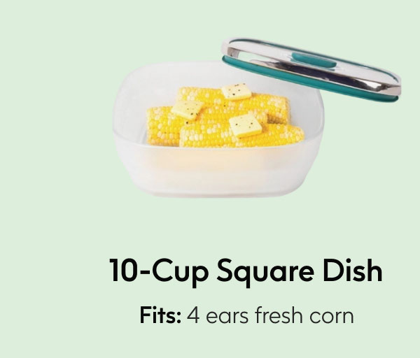 10-Cup Square Dish