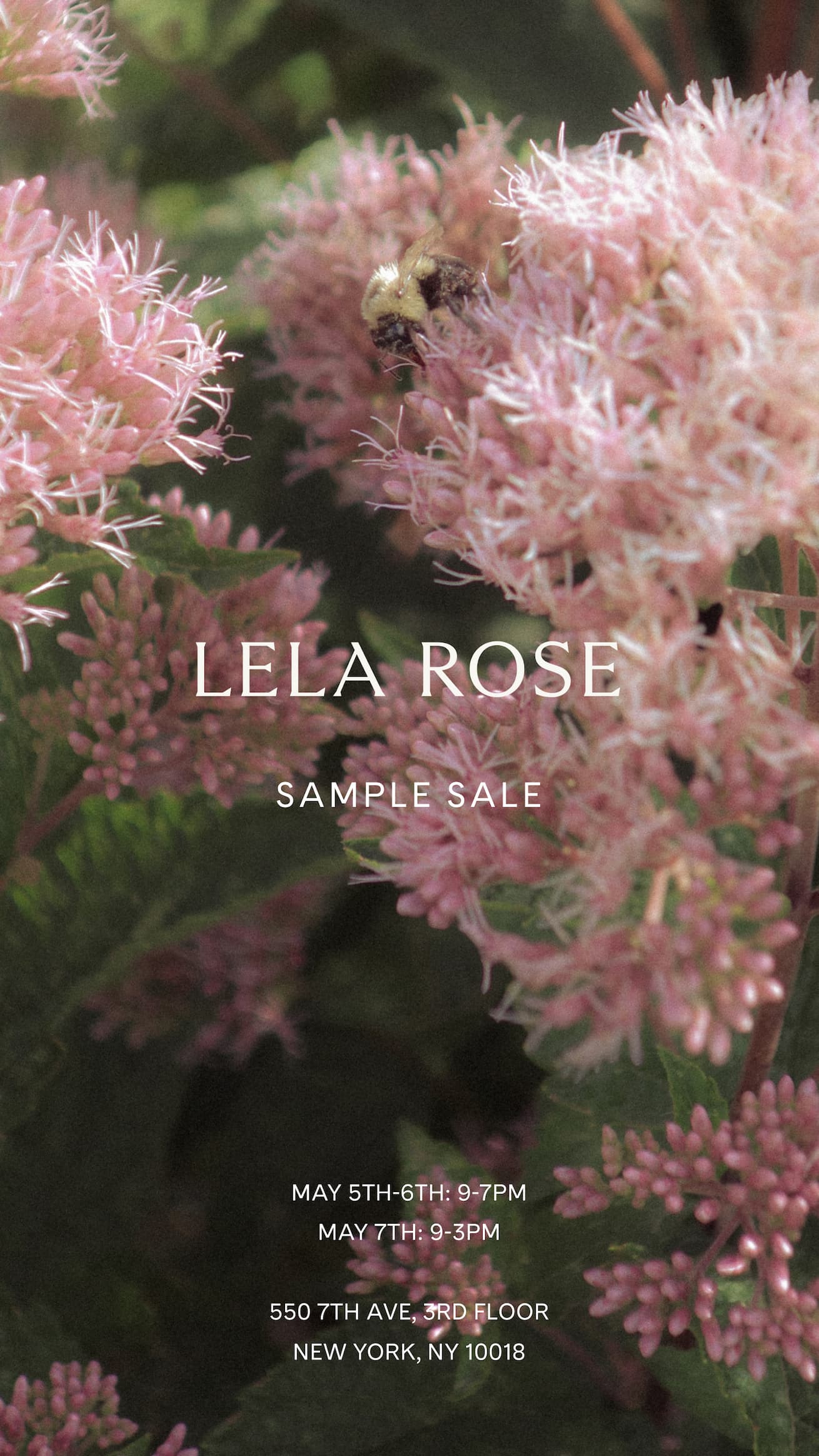 Lela Rose Image