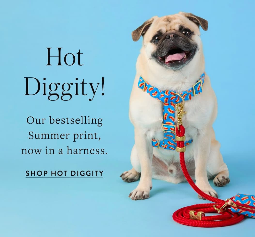 Shop Hot Diggity