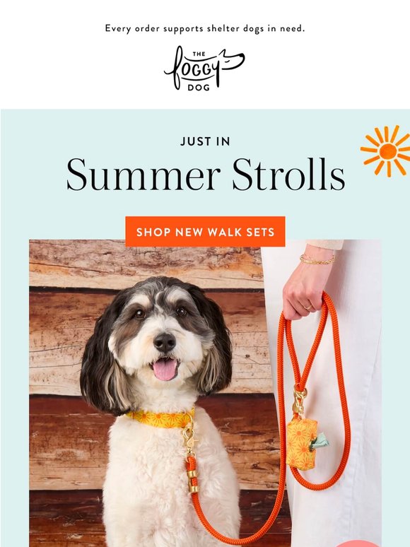 NEW walk sets for sunny days ☀️