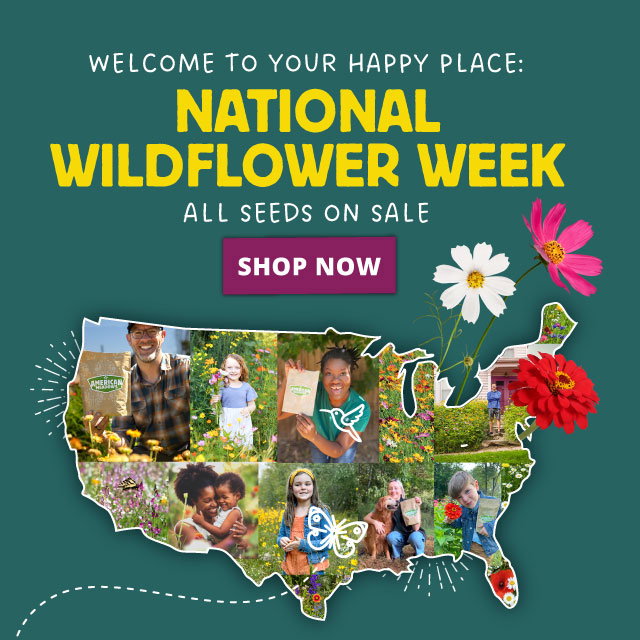 National Wildflower Week