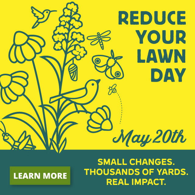 Reduce your lawn day