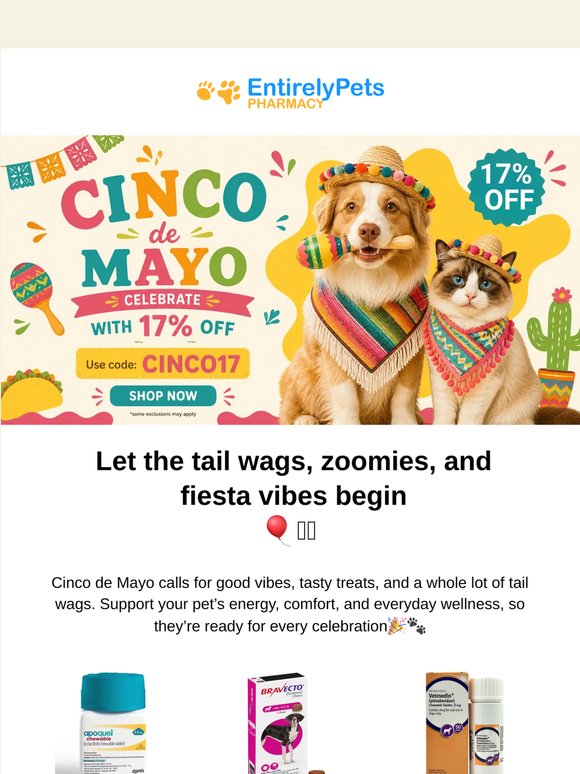 Cinco de Mayo Fiesta Starts Now 🌮🐶