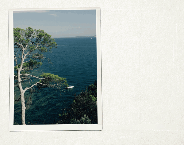 The Destination Edit
