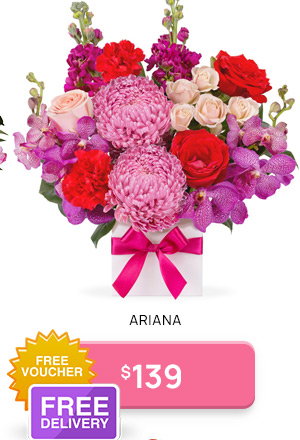 Arianna