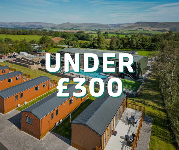 Under £300