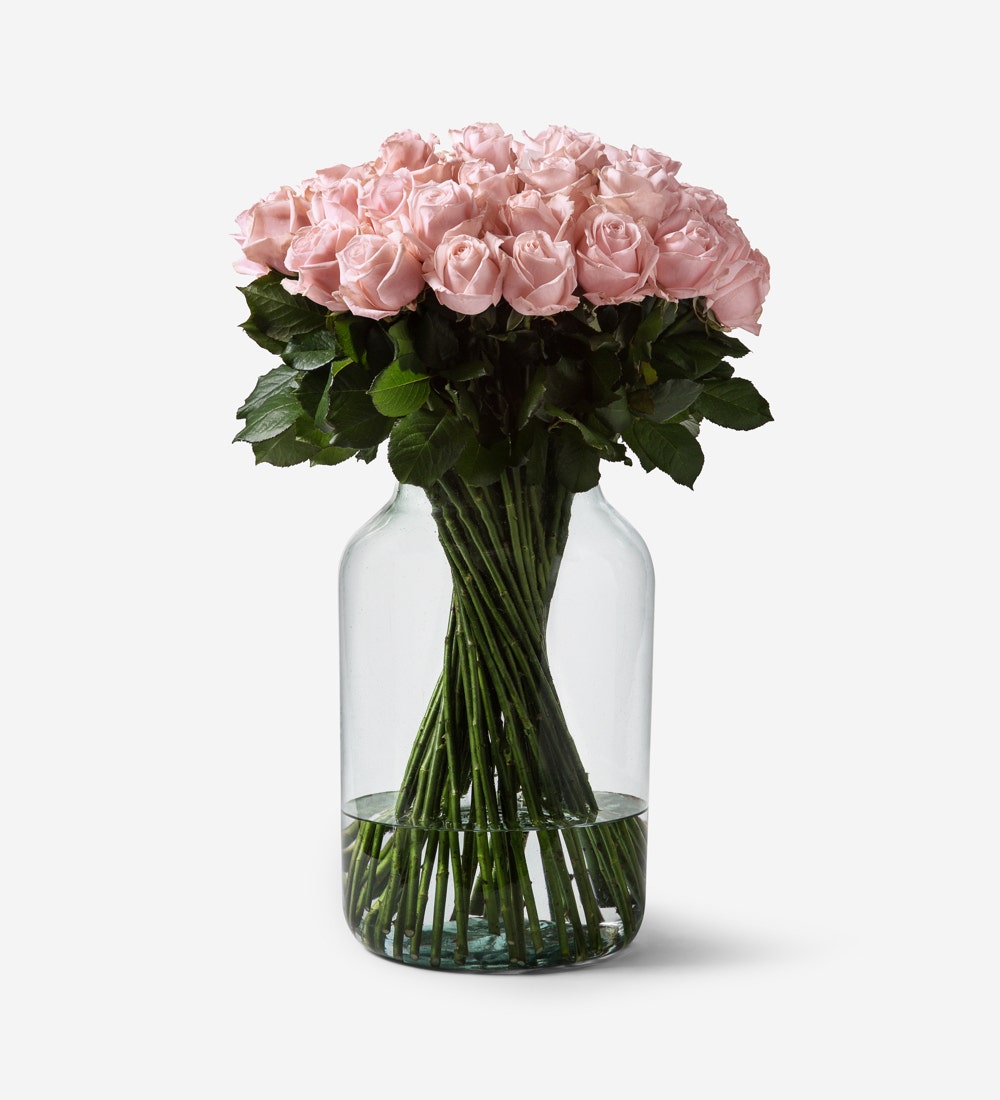 50 Roses Vase Set