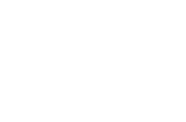 T2