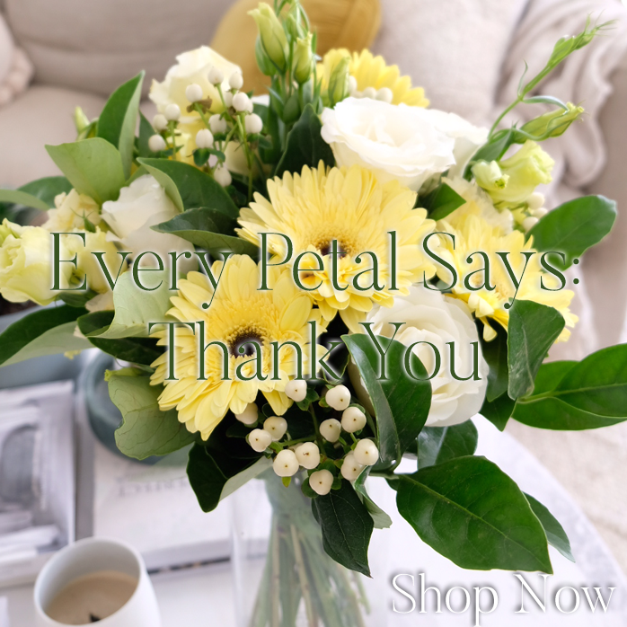 Save 15% Sitewide