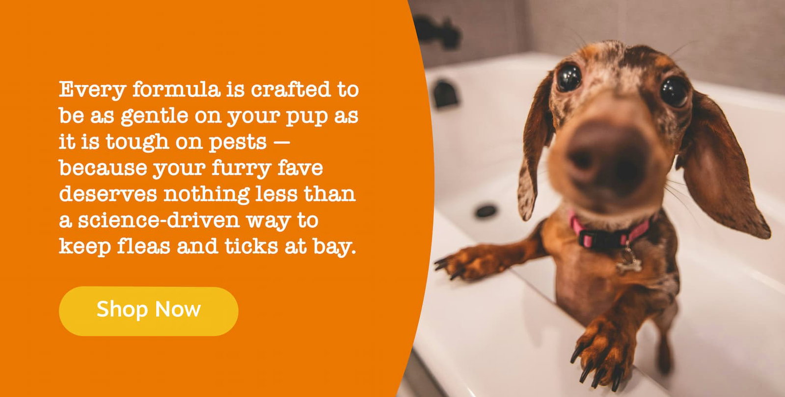 Every formula is crafted to be as gentle on your pup as it is tough on pests, because your furry fave deserves nothing less than a science-driven way to keep fleas and ticks at bay. Shop now!