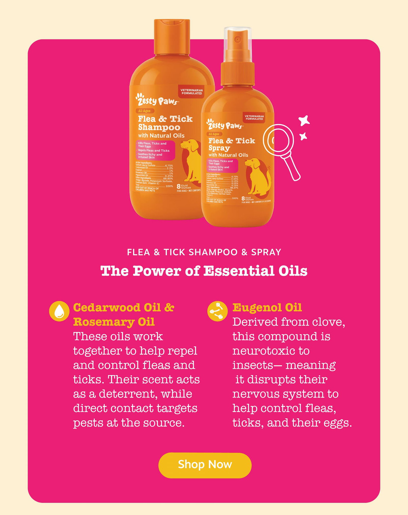 Flea & Tick Shampoo & Spray: The Power of Essential Oils. Cedarwood Oil & Rosemary Oil: These oils work together to help repel and control fleas and ticks. Their scent acts as a deterrent, while direct contact targets pests at the source. Eugenol Oil: Derives from clove, this compound is neurotoxic to insects, meaning it disrupts their nervous system to help control fleas, ticks, and their eggs. Shop now!