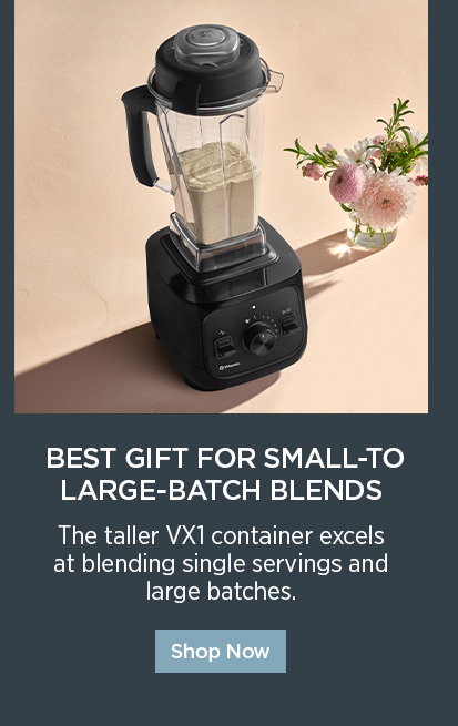 Vitamix VX1™ - Best Gift for Small-to-Large-Batch Blends. The taller VX1 container excels at blending single servings and large batches. 