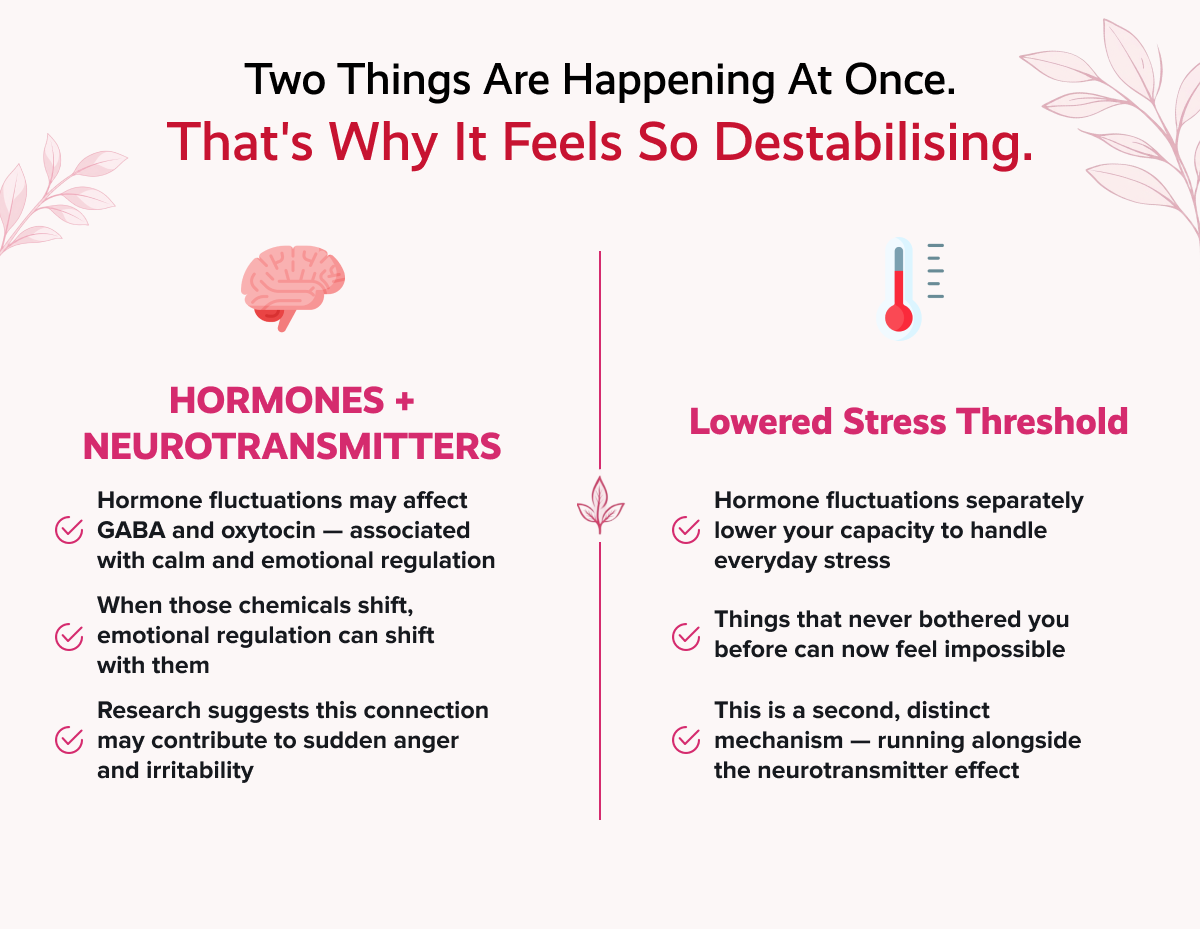 Two things are happening at once. That's why it feels so destabilising. | HORMONES + NEUROTRANSMITTERS | Lowered Stress Threshold