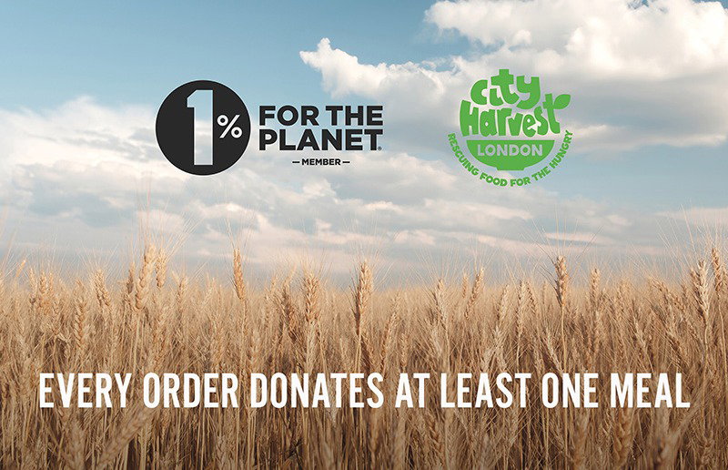 Black and blum sustainability banner with 1% for the planet on a forest background