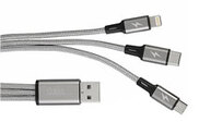 Image Article