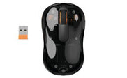 Image Article