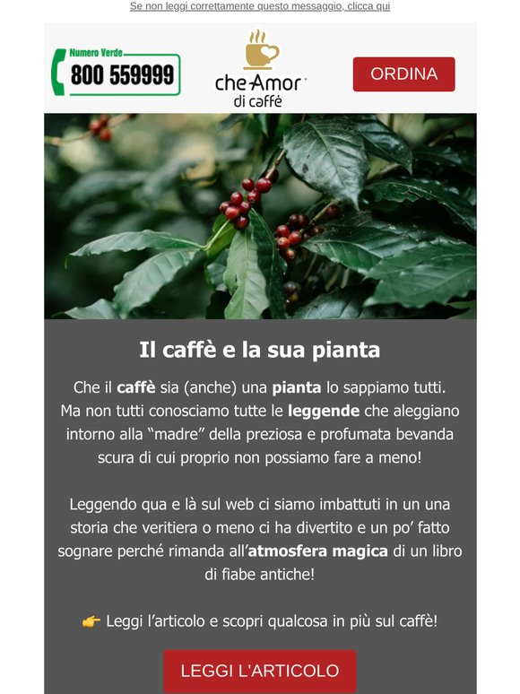 Quanto conosci della pianta del caffè? ☕🤎