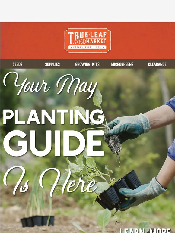 Your planting guide for May 🌱