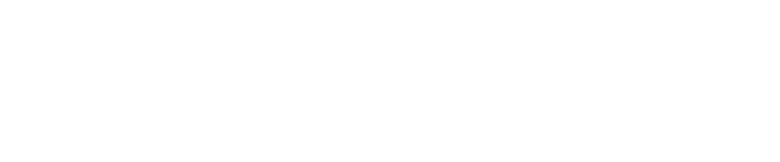 Leesa®
