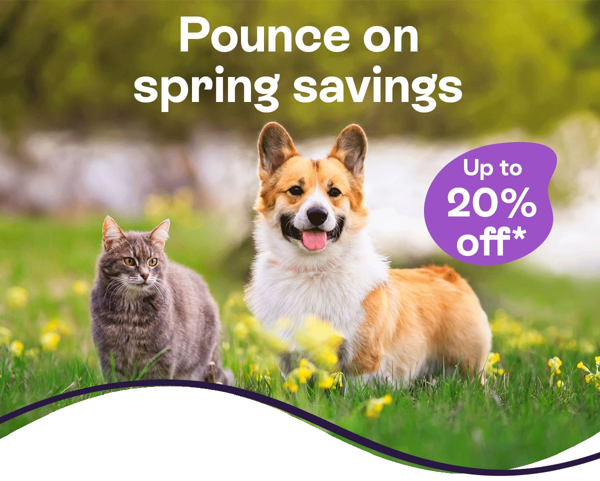 Pounce on spring savings up to 20% off
