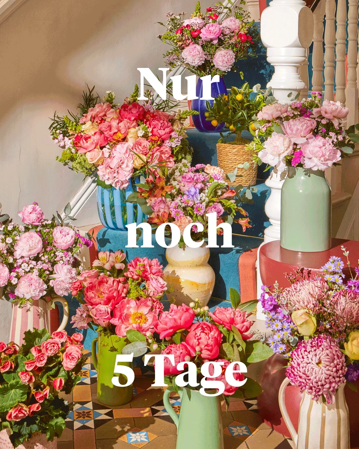 Eine bunte Auswahl an Vasen mit pinken Pfingstrosen, Inkalilien und Astern steht auf einer blau gestuften Treppe. Der Text „Nur noch 5 Tage“ ist in großen weißen Buchstaben über das Bild gelegt. Ein kleiner Zitrusbaum setzt grüne Akzente.