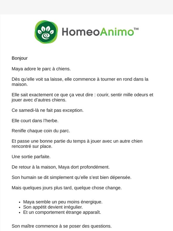 Tout allait bien… jusqu’à quelques jours après le parc à chiens