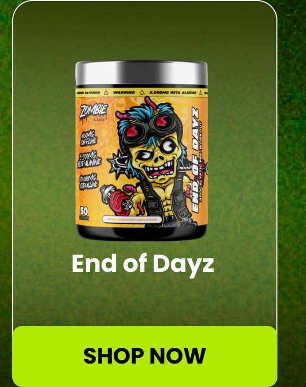 End of Dayz by Zombie Labs