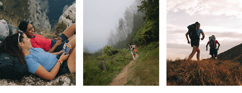 A selection of different images from several settings and in different summer weather conditions.