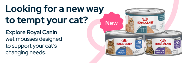 Royal Canin Aging Cat Food Royal Canin Aging Cat Food
