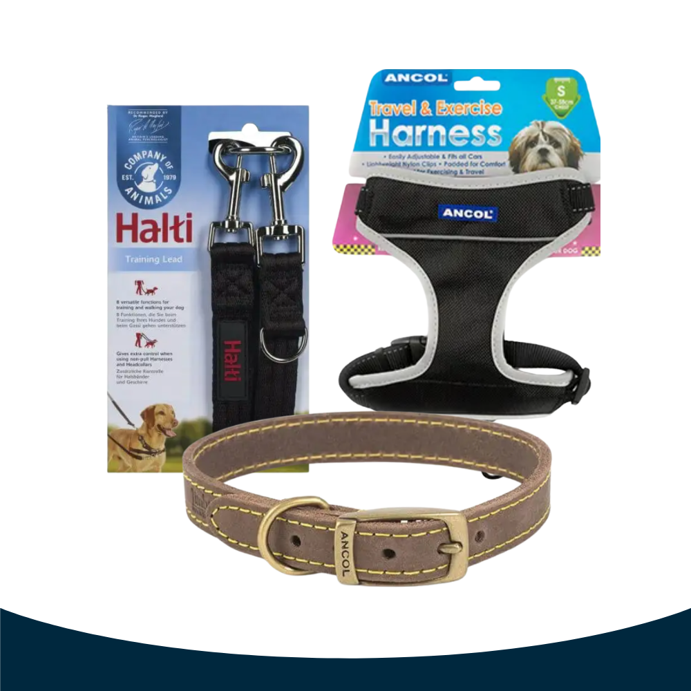 Accessories Accessories