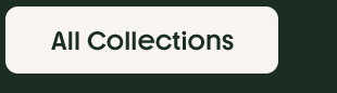  All Collections 
