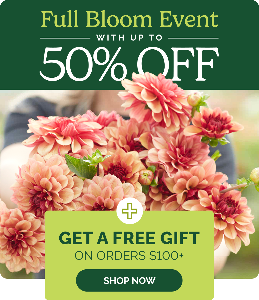Full Bloom Event with up to 50% off; Get a free gift on orders $100+; SHOP NOW