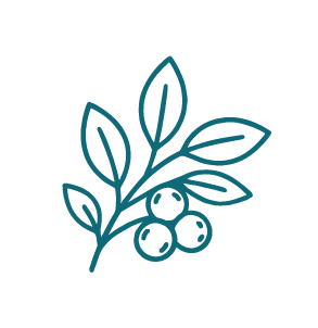 Adaptogens Icon