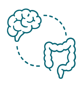 Gut Brain Icon