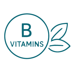 B Vitamin Icon