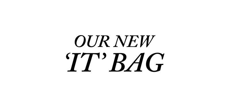 Our new " 'it' bag. 