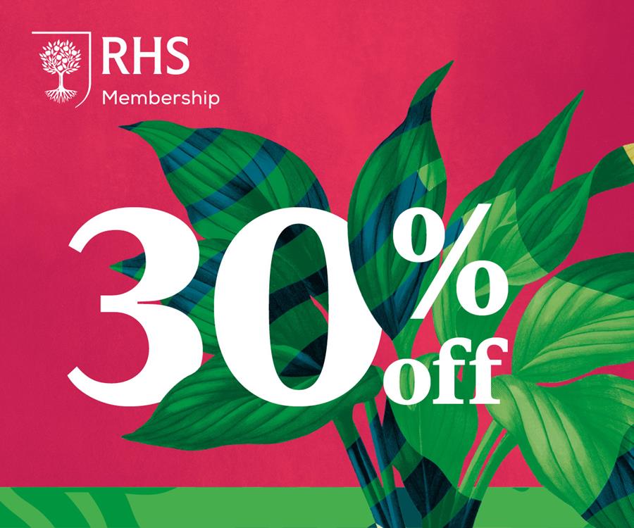 pink and green graphic showing 30% off with a hosta botanical