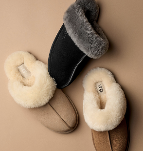 Women's Slippers