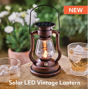 Solar LED Vintage Lantern