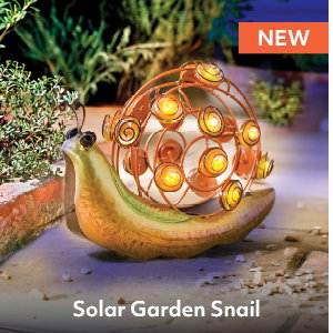 Solar Garden Snail