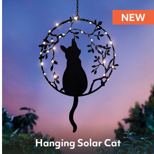 Hanging Solar Cat