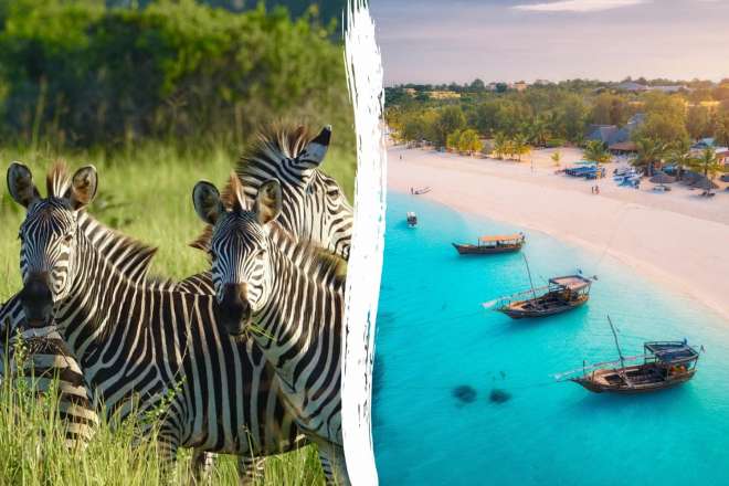 Zanzibar Safari & AHG Roulette