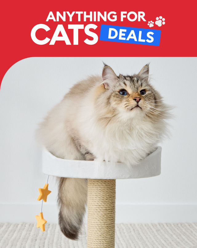 Anything for Cats Deals