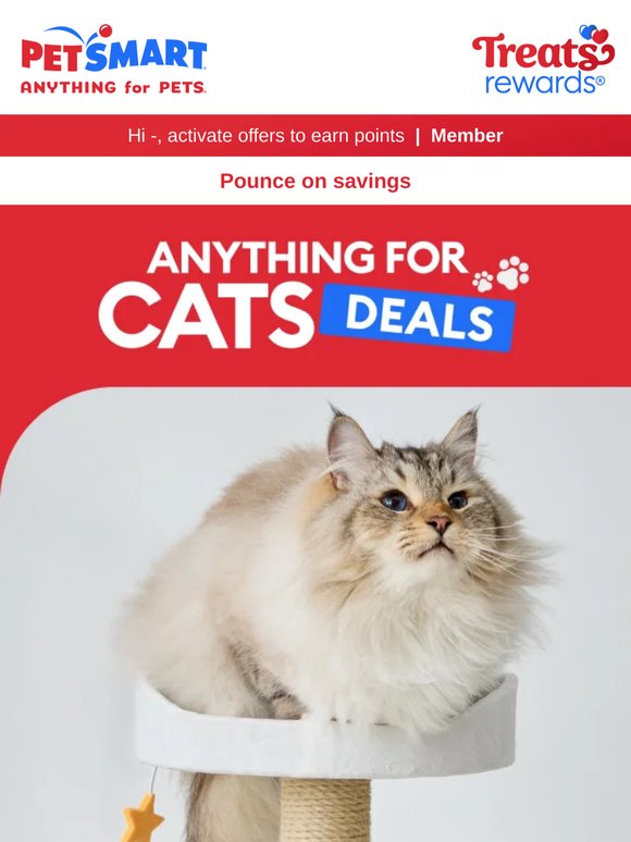 Hey, kitty kitty! 25X POINTS BOOST inside 🐱