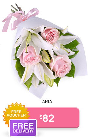 Aria