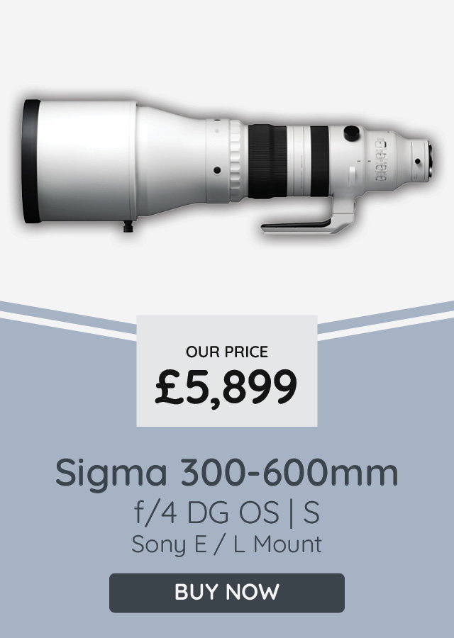 Sigma 300-600mm f/4 DG OS Sports