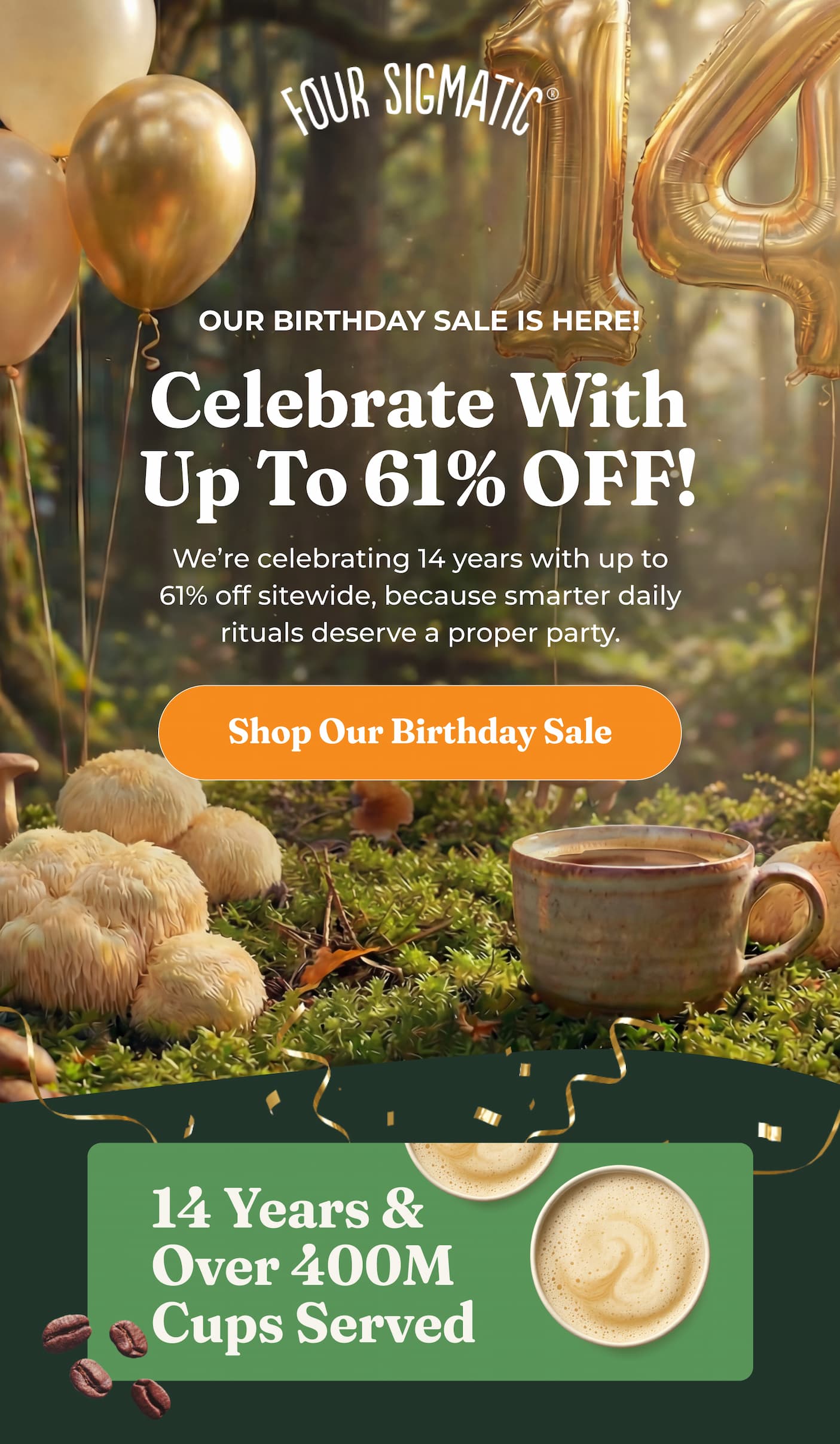 Our Birthday Sale Is Here! Celebrate with up to 61% OFF!